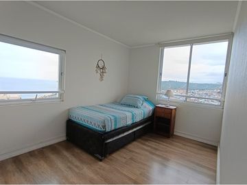 Vista panorámica de Viña del Mar 3D/3B/2 piscinas
