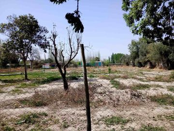 VENTA LOTE SAN MARTIN MENDOZA