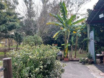 Venta Quinta en Lote 4234m2 Altos Los Cardales R 4