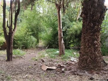LOTE EN VENTA 312 M2 TRISTAN SUÁREZ