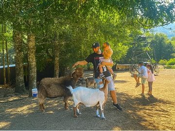 Venta Granja, parcela Trufulco- Pucon