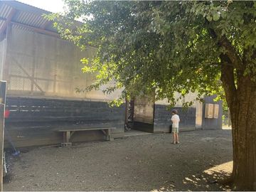 Venta Granja, parcela Trufulco- Pucon