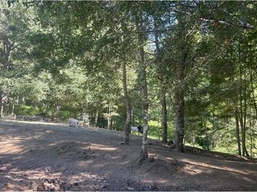 Venta Granja, parcela Trufulco- Pucon