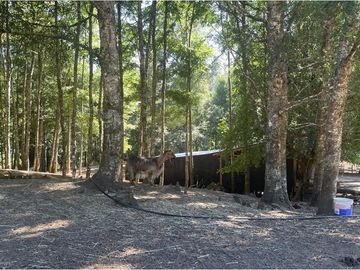 Venta Granja, parcela Trufulco- Pucon