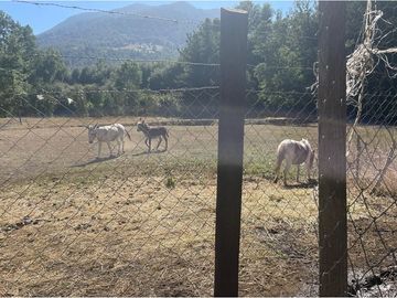 Venta Granja, parcela Trufulco- Pucon