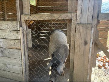 Venta Granja, parcela Trufulco- Pucon