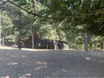 Venta Granja, parcela Trufulco- Pucon