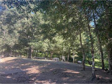 Venta Granja, parcela Trufulco- Pucon