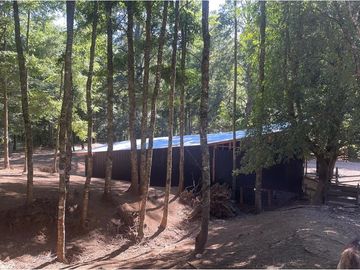 Venta Granja, parcela Trufulco- Pucon