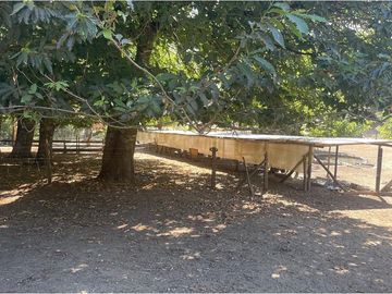 Venta Granja, parcela Trufulco- Pucon
