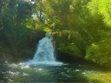 Venta Granja, parcela Trufulco- Pucon