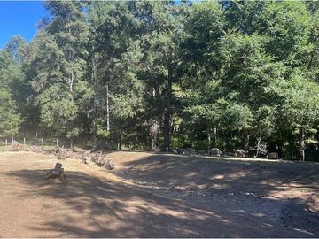 Venta Granja, parcela Trufulco- Pucon