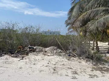 Terreno en venta en San Benito, Dzemul, Yucatán
