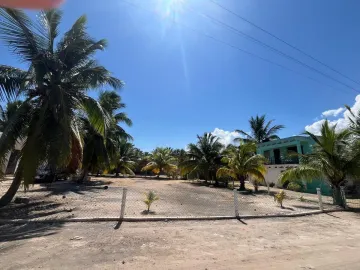 Casa en venta en San Crisanto, Sinanché, Yucatán