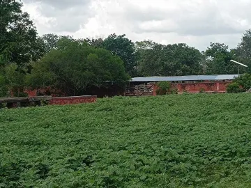Terreno en venta en Tetiz, Tetiz, Yucatán