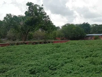 Terreno en venta en Tetiz, Tetiz, Yucatán