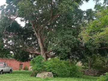 Terreno en venta en Tetiz, Tetiz, Yucatán