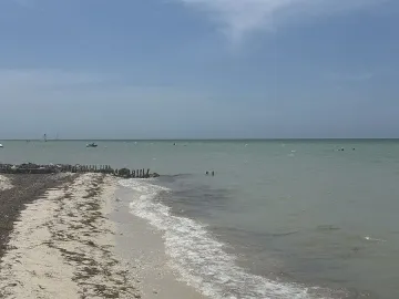 Terreno en venta en San Benito, Dzemul, Yucatán
