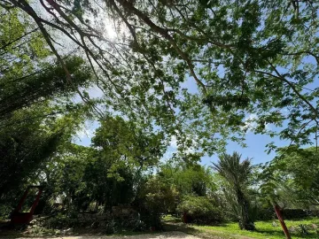 Quinta en venta en Kinchil, Kinchil, Yucatán