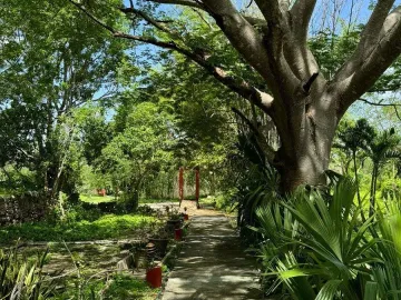 Quinta en venta en Kinchil, Kinchil, Yucatán
