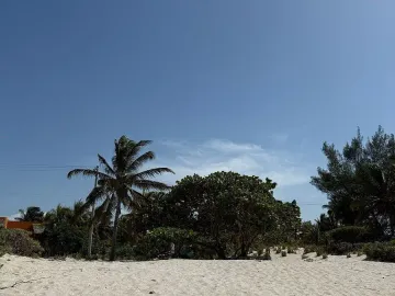 Terreno en venta en San Crisanto, Sinanché, Yucatán