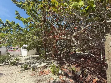 Terreno en venta en San Crisanto, Sinanché, Yucatán