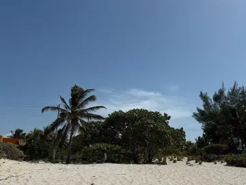 Terreno en venta en San Crisanto, Sinanché, Yucatán