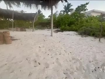 Terreno en venta en San Crisanto, Sinanché, Yucatán