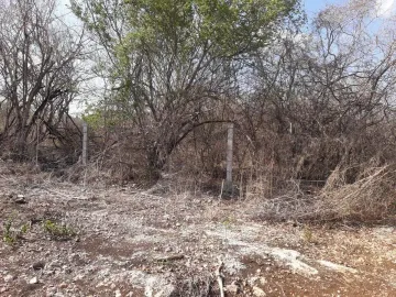 Terreno en venta en Ejido de Chuburna, Mérida, Yucatán