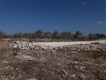 Terreno en venta en Ejido de Chuburna, Mérida, Yucatán