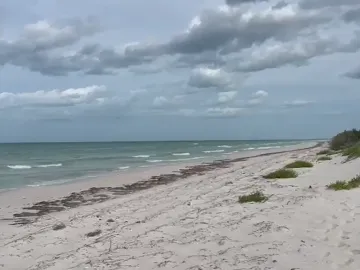 Terreno en venta en El Cuyo, Tizimín, Yucatán