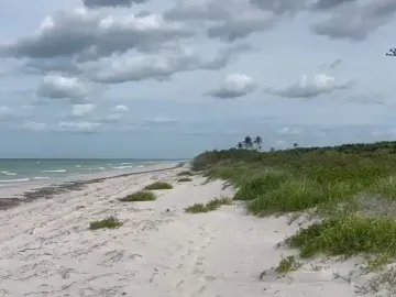 Terreno en venta en El Cuyo, Tizimín, Yucatán