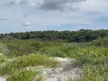 Terreno en venta en El Cuyo, Tizimín, Yucatán