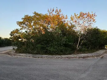 Terreno en venta en Dzidzilche, Mérida, Yucatán