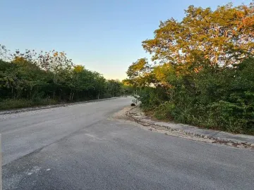 Terreno en venta en Dzidzilche, Mérida, Yucatán