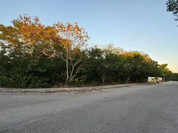 Terreno en venta en Dzidzilche, Mérida, Yucatán
