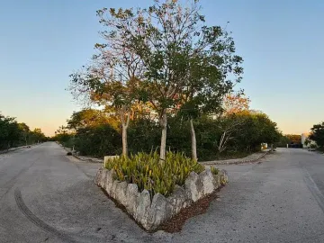 Terreno en venta en Dzidzilche, Mérida, Yucatán