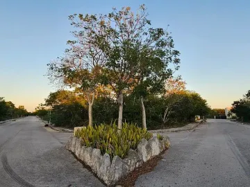 Terreno en venta en Dzidzilche, Mérida, Yucatán