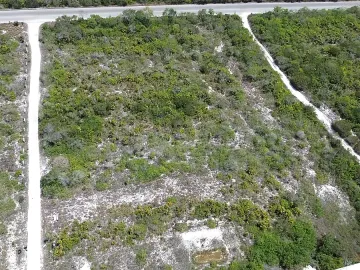 Terreno en venta en San Benito, Dzemul, Yucatán