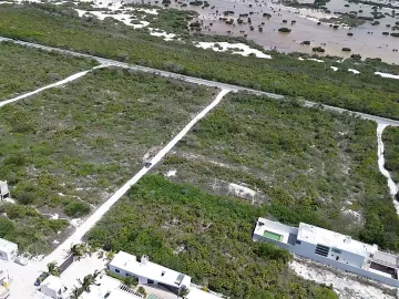 Terreno en venta en San Benito, Dzemul, Yucatán