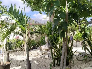 Casa en venta en Ucu, Ucú, Yucatán