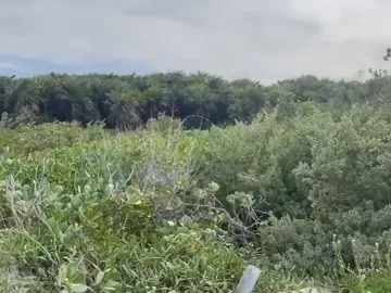 Terreno en venta en El Cuyo, Tizimín, Yucatán
