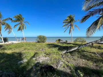 Terreno en venta en San Crisanto, Sinanché, Yucatán