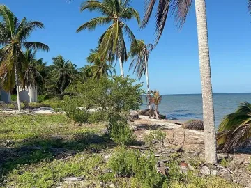 Terreno en venta en San Crisanto, Sinanché, Yucatán