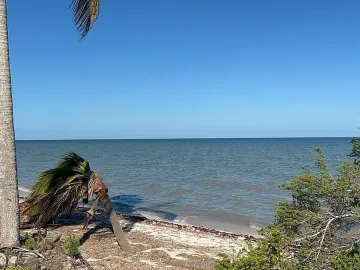 Terreno en venta en San Crisanto, Sinanché, Yucatán