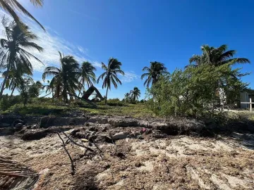 Terreno en venta en San Crisanto, Sinanché, Yucatán