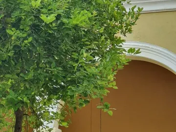 Casa en venta y renta en Merida Centro, Mérida, Yucatán