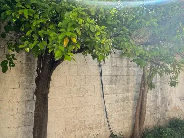 Casa en venta en Francisco de Montejo, Mérida, Yucatán