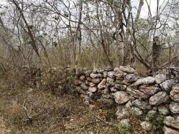 Terreno en venta en Sinanche, Sinanché, Yucatán