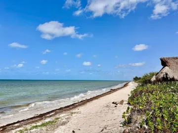 Terreno en venta en San Benito, Dzemul, Yucatán